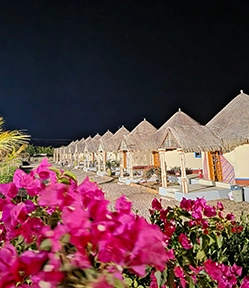 ram rann resort dholavira